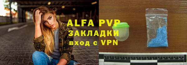амф Гусиноозёрск