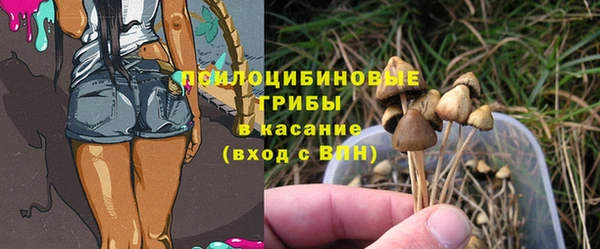 мяу мяу кристалл Гусев