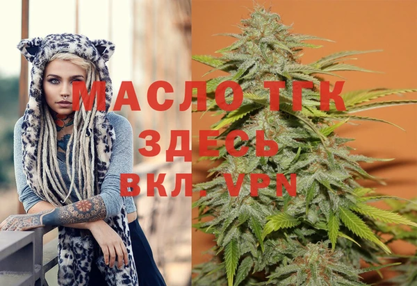 амф Гусиноозёрск