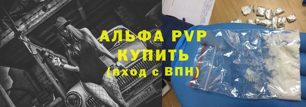 амф Гусиноозёрск