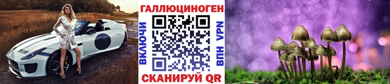Купить закладки  Новоульяновск  Псилоцибиновые грибы прущие грибы 